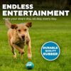 Outward Hound Squeaker Ballz Squeaky Tennis Ball Dog Toys – Medium (4 Pack) | Durable, High-Bounce, Multi-Color Balls for Fetch & Play | Safe, Non-Toxic Fun for Dogs of All Breeds