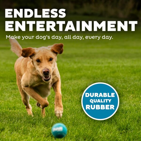 Outward Hound Squeaker Ballz Squeaky Tennis Ball Dog Toys – Medium (4 Pack) | Durable, High-Bounce, Multi-Color Balls for Fetch & Play | Safe, Non-Toxic Fun for Dogs of All Breeds