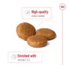 81aRZCye6L._SL1500_.jpg Royal Canin Medium Adult Dog Food, 1 Kg, Dry Food, Provides Muscle Mass, Supports Complex Natural Defense & Optimal Health Support