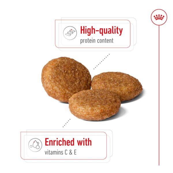 81aRZCye6L._SL1500_.jpg Royal Canin Medium Adult Dog Food, 1 Kg, Dry Food, Provides Muscle Mass, Supports Complex Natural Defense & Optimal Health Support