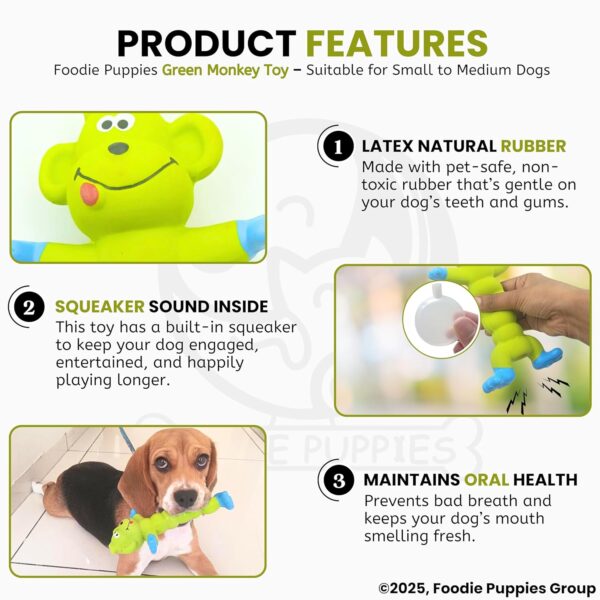Foodie Puppies Interactive Latex Squeaky Chew Dog Toy - (Green Monkey, 20cm) | Small to Medium Dogs & Puppies | Durable, Rubber, Non-Toxic, Animal Design Playing & Fetching Pet Toy | Reduce Anxiety