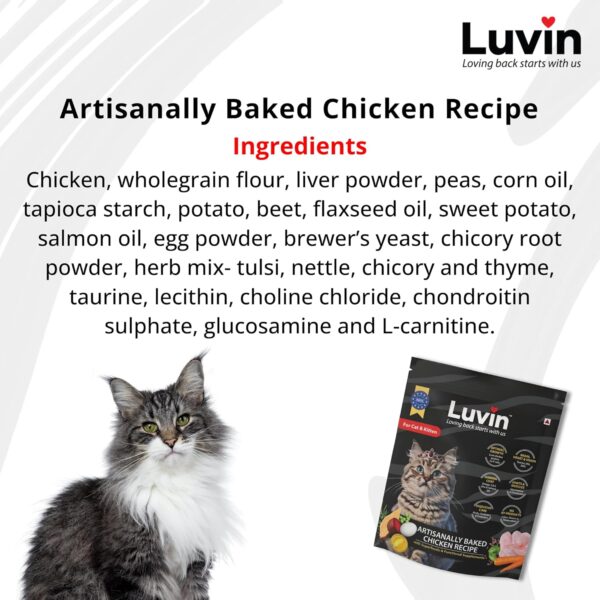 81bFh1zStAL._SL1500_.jpg Luvin Artisanally Baked Premium Dry Cat Food - 1.5Kg | Cat & Kitten 6m+ | Digestive Care Optimal Growth Formula for All Life Stages