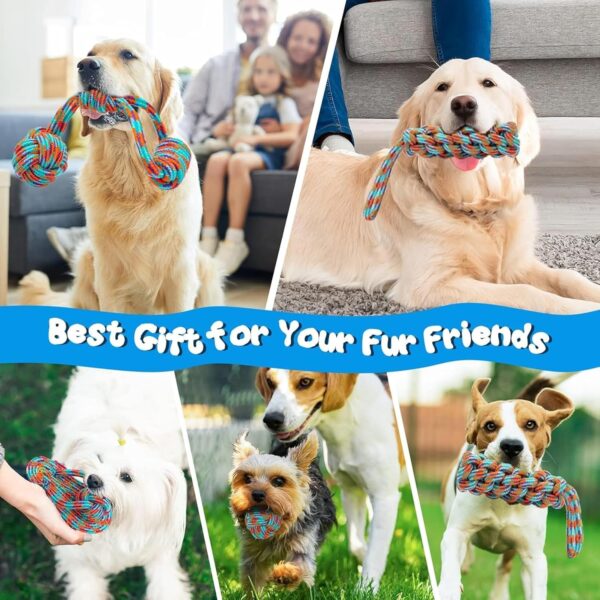 emily pets Dog Chew Rope Toys Pack of 7 Combo for Dogs & Puppies Ball Dual-Tennis Knotted Chewing Dog Toy for Playing, Teeth Cleaning & Training (Color As Vary, Pack 7)