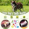 emily pets Dog Chew Combo of 10pcs Rubber Ring, Teether,Dumble Teether & Latex Non-Toxic for Dog & Puppy (Color May Vary)