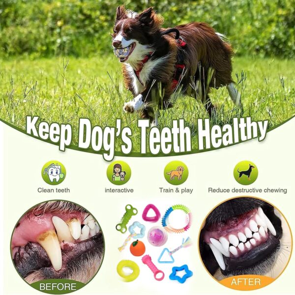 emily pets Dog Chew Combo of 10pcs Rubber Ring, Teether,Dumble Teether & Latex Non-Toxic for Dog & Puppy (Color May Vary)