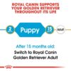 Royal Canin Golden Retriver Puppy Food, 3 Kg, Dry Food, Helps with Healthy Skin & Coat, Supports Immune System & Digestive Health