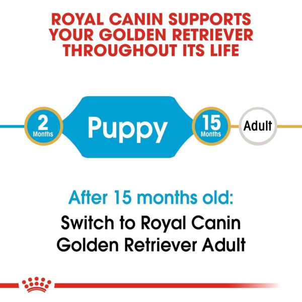 Royal Canin Golden Retriver Puppy Food, 3 Kg, Dry Food, Helps with Healthy Skin & Coat, Supports Immune System & Digestive Health