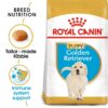 Royal Canin Golden Retriver Puppy Food, 3 Kg, Dry Food, Helps with Healthy Skin & Coat, Supports Immune System & Digestive Health