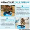 Foodie Puppies Interactive Catch Mouse Cat Scratcher Toy with Rotating Mouse and Scratching Pad/Mat for Cats & Kittens - (Sky Blue) | Durable, Non-Toxic Plastic Disc for Indoor Cat Claw Care and Play
