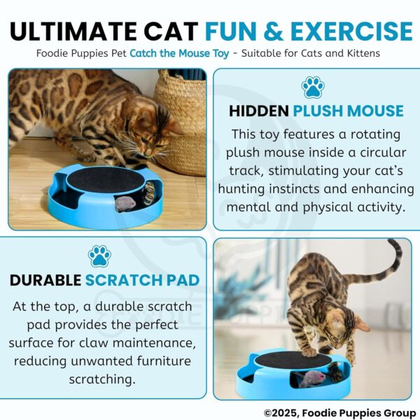Foodie Puppies Interactive Catch Mouse Cat Scratcher Toy with Rotating Mouse and Scratching Pad/Mat for Cats & Kittens - (Sky Blue) | Durable, Non-Toxic Plastic Disc for Indoor Cat Claw Care and Play