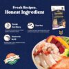 Persian Adult Dry Cat Food 400g with Antarctic Krill & Taurine | Fresh, Natural Ingredients | Highly Palatable | Supports Healthy Skin & Coat | Reduces Hairball Formation | Premium Nutrition
