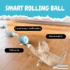 81d5hEx1JWL._SL1500_.jpg KILLERWHALE Interactive Smart Cat Toy Ball – 360° Self-Rolling Motion with LED Lights, Rechargeable via Type-C, Automatic Gravity Sensor, Engaging Kitten & Pet Play Toy