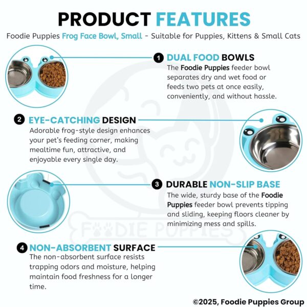 81d5rtjV7ML._SL1500_.jpg Foodie Puppies 2-in-1 Food and Water Bowl for Cats and Kittens - (Frog Bowl, Small) 200ml Each | Non-Slip, Non-Toxic Pet Feeding Plastic Frog Face Shaped Double Bowl Food & Water Feeder