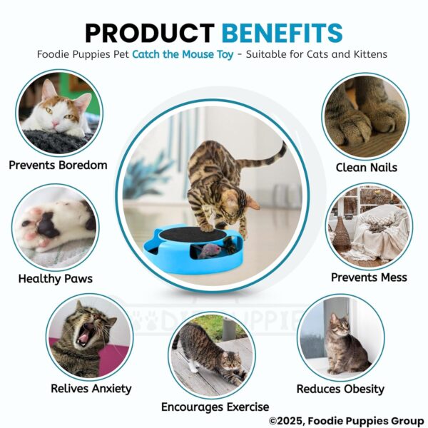 Foodie Puppies Interactive Catch Mouse Cat Scratcher Toy with Rotating Mouse and Scratching Pad/Mat for Cats & Kittens - (Sky Blue) | Durable, Non-Toxic Plastic Disc for Indoor Cat Claw Care and Play