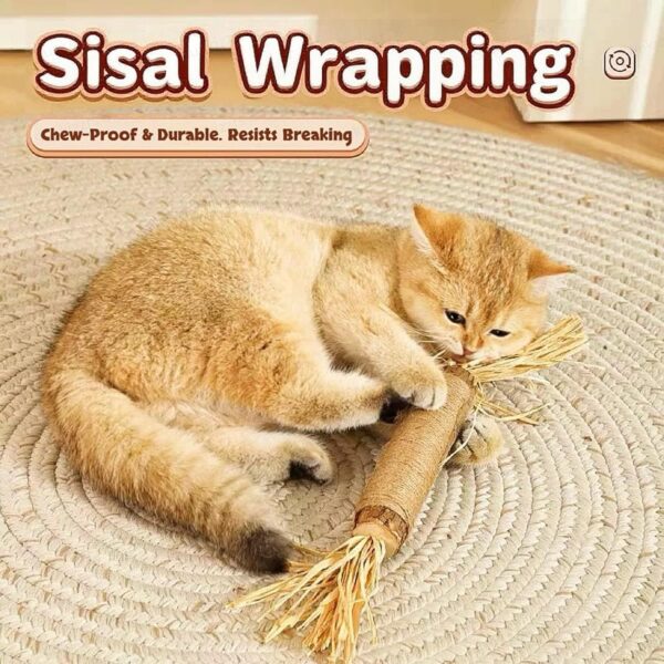 81e4K6UuvKL._SL1500_.jpg Sunkizzrs® Huge Silvervine Stick with Sisal Rope & Gall Fruit & Raffia Palm —Matatabi Stick for Cat Teeth Cleaning —Interactive CatnipToy Set —Chew & Scratch Toys for Aggressive Chewers (Φ3 x 38cm)