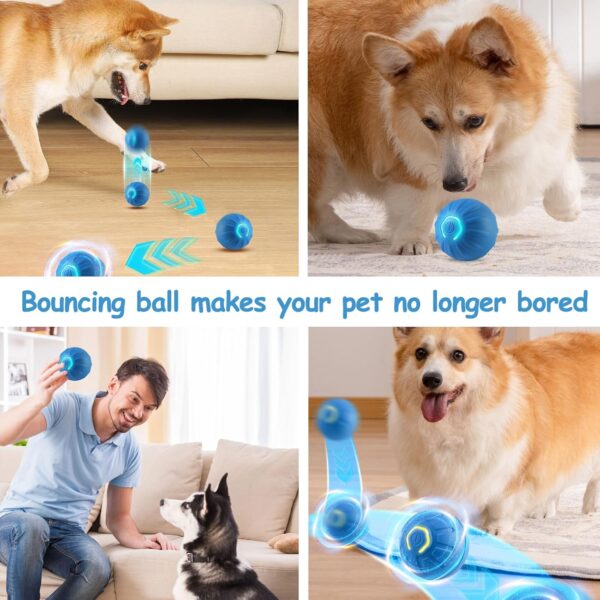 Interactive Dog Toys Ball, USB Rechargeable, Motion Activated Automatic Rolling Ball with Lights, Boredom Relief Exercise Pet Toy for Small, Medium, Large Dogs, Blue