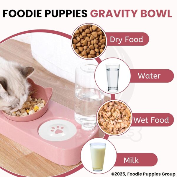 81em-3PC2uL._SL1500_.jpg Foodie Puppies Gravity Cat Food and Water Bowl Set - (Pink) | 2in1 Automatic Drinking Flowing Water and Food Bowl | Detachable Elevated Cat Bowl Stand Wet and Dry Food Bowl for Cats & Small Dogs