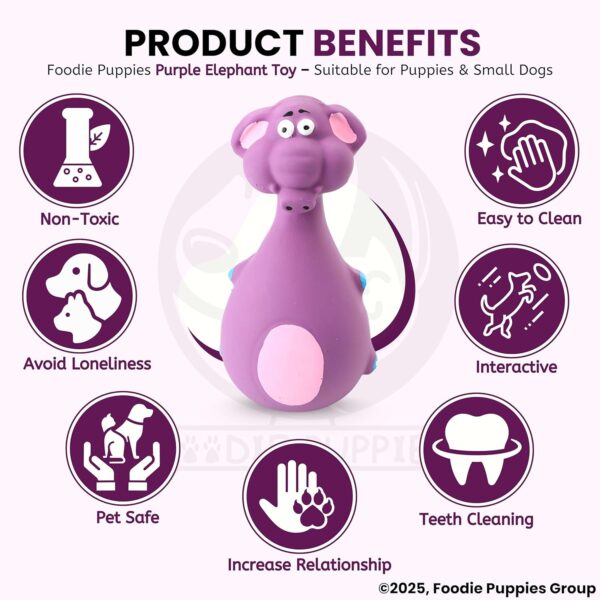 81fgUv9FO5L._SL1500_.jpg Foodie Puppies Natural Latex Rubber Squeaky Chew Toy - (Purple Elephant, 12cm), Suitable for Puppy, X-Small to Small Dogs | Durable, Animal Design, Fetch & Chew Toy