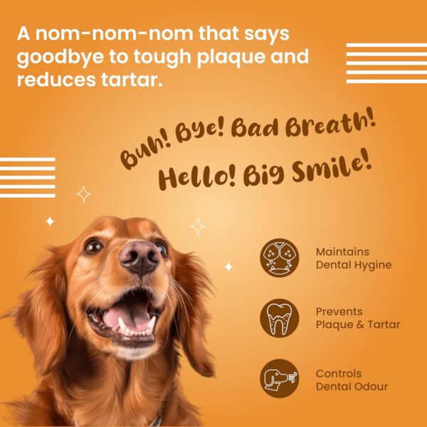 81gD2BE0IUL._SL1500_.jpg BARK OUT LOUD- Dental Sticks Adult Dog Treats | Sugar/Gluten Free | Plaque Tartar & Odour Oral Care | Fresh Smell Chicken Dog Treats - 100 Gm