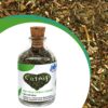 81gLZHEz7uL._SL1500_.jpg emily pets Natural Attractive Mint Fragrance Catnip for Cats Kitten