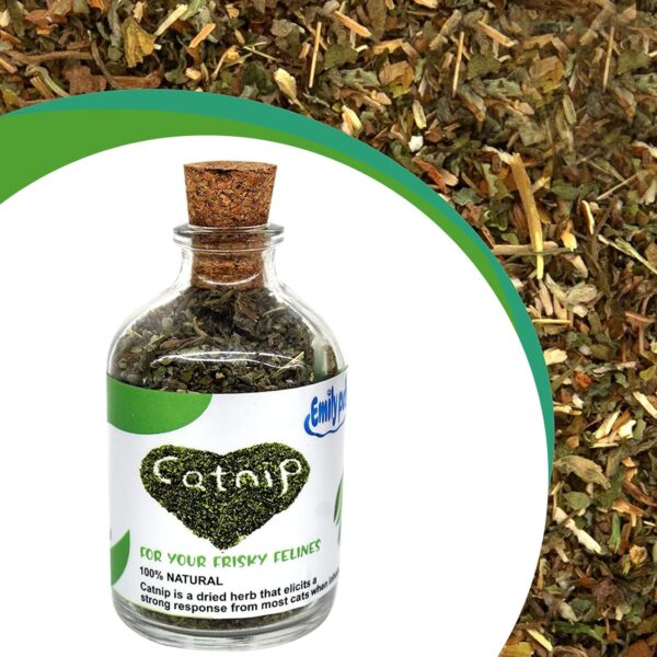 81gLZHEz7uL._SL1500_.jpg emily pets Natural Attractive Mint Fragrance Catnip for Cats Kitten