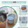 81gfz7jw19L._SL1500_.jpg Foodie Puppies Elevated Bowl Feeder Food Water for Cats, Kittens & Puppies (Set of 2) Persian Cat Food Bowl Tilted Raised Bowl (Color May Vary) Plastic, ?15L x 13.5W x 11.5H cms