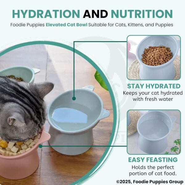 81gfz7jw19L._SL1500_.jpg Foodie Puppies Elevated Bowl Feeder Food Water for Cats, Kittens & Puppies (Set of 2) Persian Cat Food Bowl Tilted Raised Bowl (Color May Vary) Plastic, ?15L x 13.5W x 11.5H cms
