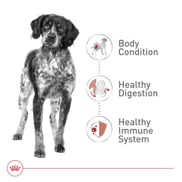 Royal Canin Health Nutrition Medium Adult Dog Dry Food (30 lbs)