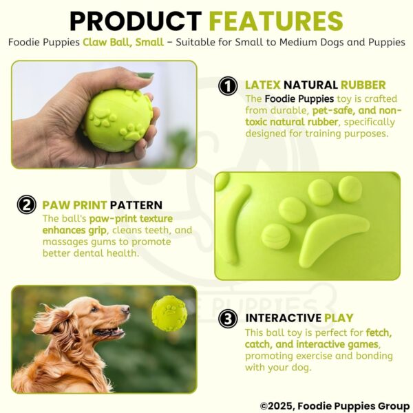 81gr6c0eSL._SL1500_.jpg Foodie Puppies Latex Rubber Squeaky Dog Chew Ball Toy - (Claw Ball, Small) Durable and Safe Fetch Teething Dog Toy for Puppies and Small to Medium Dogs, Paw Design Helps to Clean Teeth (Diameter, 6cm)