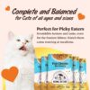 81gzrAAhD2L._SL1500_.jpg Kennel Kitchen Wet Cat Food for Adults and Kittens, Fish Chunks in Gravy, 12 Pouches (12 X 80 GMS)