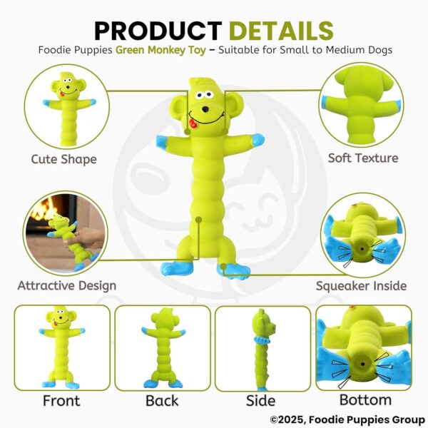 Foodie Puppies Interactive Latex Squeaky Chew Dog Toy - (Green Monkey, 20cm) | Small to Medium Dogs & Puppies | Durable, Rubber, Non-Toxic, Animal Design Playing & Fetching Pet Toy | Reduce Anxiety