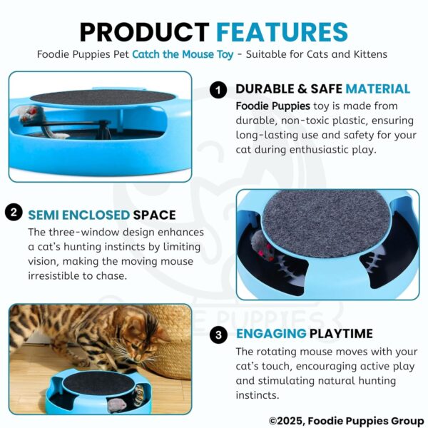 Foodie Puppies Interactive Catch Mouse Cat Scratcher Toy with Rotating Mouse and Scratching Pad/Mat for Cats & Kittens - (Sky Blue) | Durable, Non-Toxic Plastic Disc for Indoor Cat Claw Care and Play