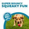 Outward Hound Squeaker Ballz Squeaky Tennis Ball Dog Toys – Medium (4 Pack) | Durable, High-Bounce, Multi-Color Balls for Fetch & Play | Safe, Non-Toxic Fun for Dogs of All Breeds