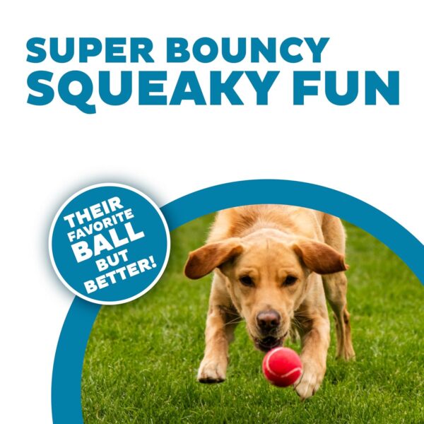 Outward Hound Squeaker Ballz Squeaky Tennis Ball Dog Toys – Medium (4 Pack) | Durable, High-Bounce, Multi-Color Balls for Fetch & Play | Safe, Non-Toxic Fun for Dogs of All Breeds