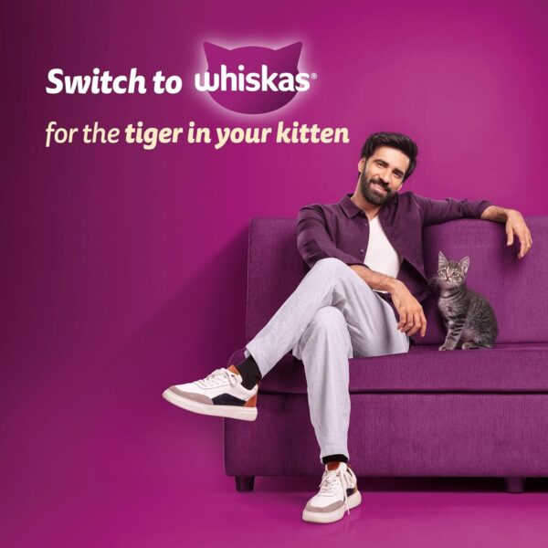 81ib8-fkLL._SL1500_.jpg Whiskas Junior Mother Cat & Kitten (2-12 Months) Dry Cat Food, Mackerel Fish Flavour, 450 g, Contains 41 Essential Nutrients, Complete & Balanced Nutrition for Mother Cats & Kittens