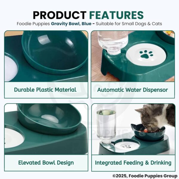 81jXrJSp8BL._SL1500_.jpg Foodie Puppies 2 in 1 Pet Gravity Feeder Food Bowl and Water Bottle Set- (Green), with Automatic Water Dispenser Bottle, Detachable Tilted Raised Food Bowl for Puppy, Small Dogs Cats and Kittens