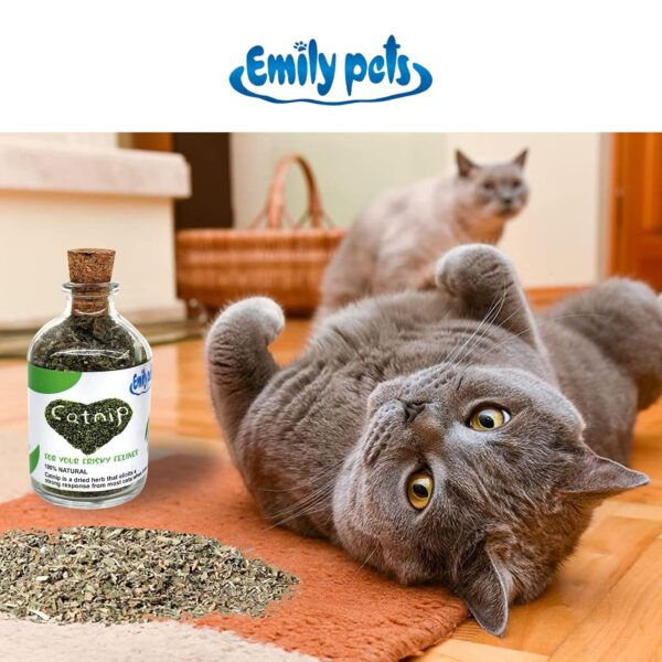 81k7qmXGepL._SL1500_.jpg emily pets Natural Attractive Mint Fragrance Catnip for Cats Kitten