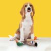 81k9nw0M1SL._SL1500_.jpg BarkButler x Fofos Wild Duck Plush - Soft & Squeaky Toys for Dogs, Dog Toys for Medium Dogs (0-20kgs) - Brown