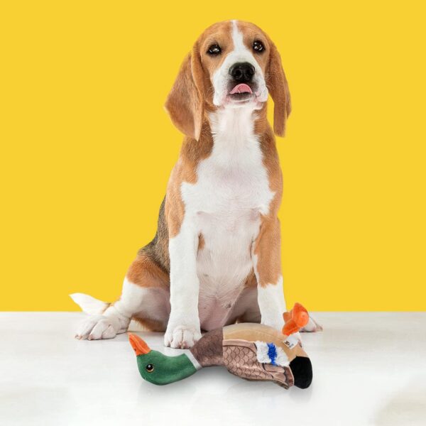 81k9nw0M1SL._SL1500_.jpg BarkButler x Fofos Wild Duck Plush - Soft & Squeaky Toys for Dogs, Dog Toys for Medium Dogs (0-20kgs) - Brown