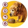 Fidele+ Dry Dog Food 1 Kg Senior & Overweight Dogs Complete & Balanced Diet Supports Weight Control, Joints & Immunity No Artificial Flavours, Preservatives