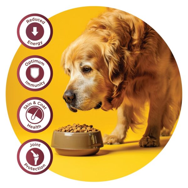 Fidele+ Dry Dog Food 1 Kg Senior & Overweight Dogs Complete & Balanced Diet Supports Weight Control, Joints & Immunity No Artificial Flavours, Preservatives