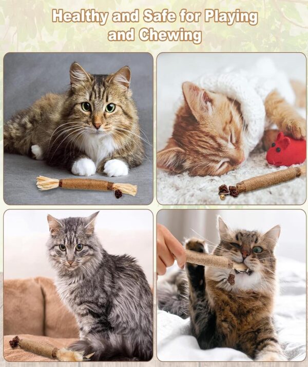 11 Pcs Cat Teething Toys Set, Kittens Catnip Cat Playing Toys for Daily Fun Cat Teething Toys Toys for Cats with 3 Varieties Durable Design for Cat Indoor Use and Daily Play