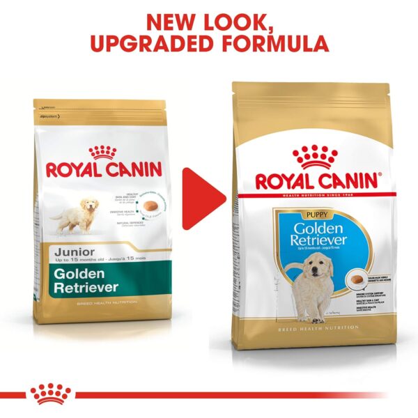 Royal Canin Golden Retriver Puppy Food, 3 Kg, Dry Food, Helps with Healthy Skin & Coat, Supports Immune System & Digestive Health
