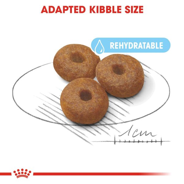 Royal Canin Maxi Starter, Mother & Babydog Food, 1 Kg, Dry Food, Supports Complex Natural Defence & digestive health, Provides Gestation/Lactation Support, Supports Easy rehydration