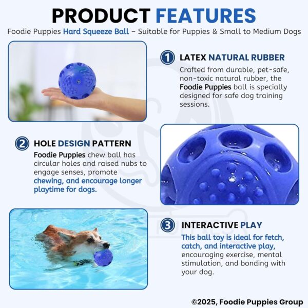 81m-q9kr4L._SL1500_.jpg Foodie Puppies Hard Squeeze Squeaky Ball Dog Toy | Squeaker, Lightweight, Durable and Water Resistant | Interactive Fetch Toys for Puppy, Dog Chew Toys (Color May Vary) (Medium)