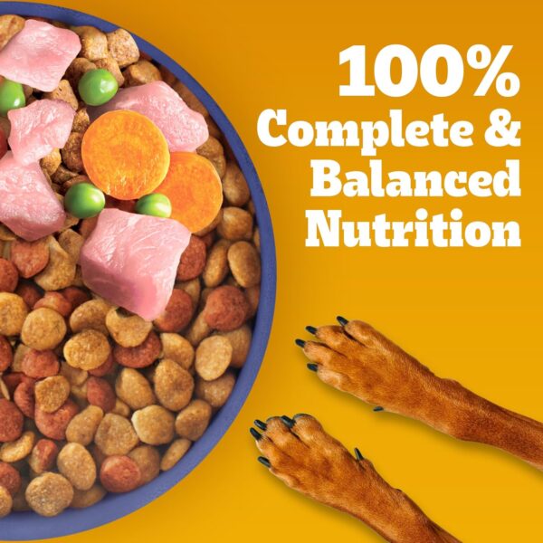 Pedigree Puppy Dry Dog Food, Chicken & Milk, 20 kg, Contains 37 Essential Nutrients, 100% Complete & Balanced Food for Puppies