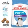 Royal Canin Giant Puppy Food, 1 Kg, Dry Food, Supports Immune System, Bone & Joint Health, Promotes Growth controlled Energy