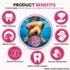 81nAAq3AdYL._SL1500_.jpg Foodie Puppies Interactive Non-Toxic Soft Latex Squeaky Chew Toy for Small to Medium Dogs (Pink Pie - Large) | Chewing, Floating, Training, and Bouncing | Reduce Separation Anxiety