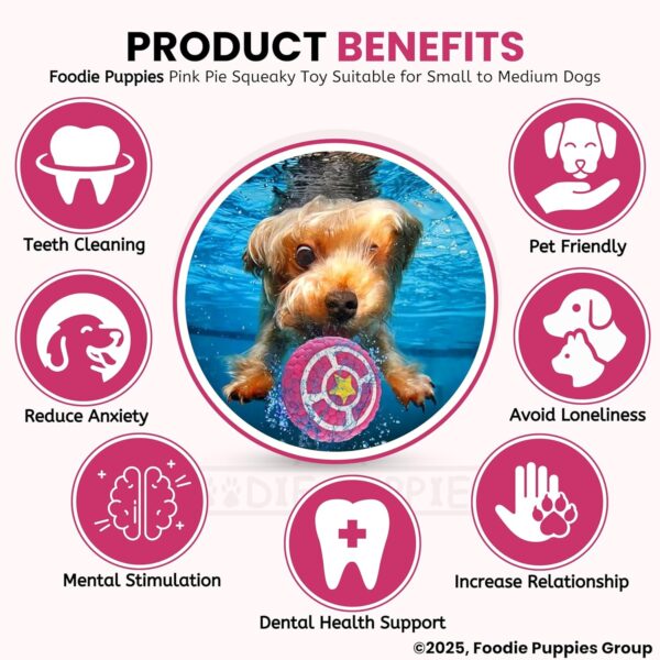 81nAAq3AdYL._SL1500_.jpg Foodie Puppies Interactive Non-Toxic Soft Latex Squeaky Chew Toy for Small to Medium Dogs (Pink Pie - Large) | Chewing, Floating, Training, and Bouncing | Reduce Separation Anxiety