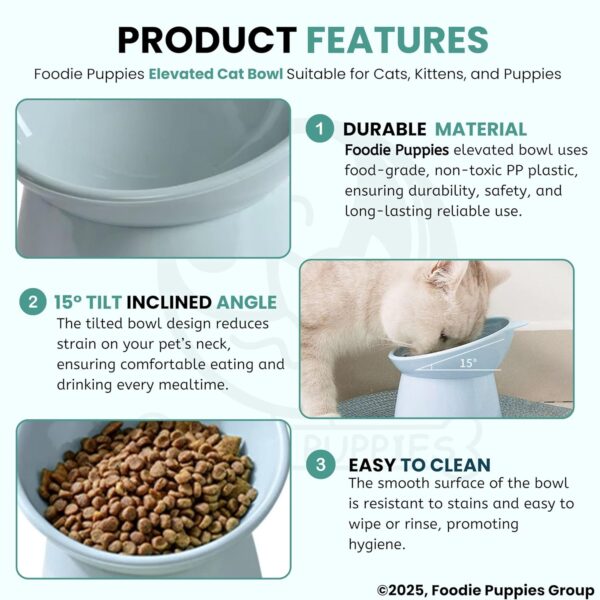81odqFnL3L._SL1500_.jpg Foodie Puppies Elevated Bowl Feeder Food Water for Cats, Kittens & Puppies (Set of 2) Persian Cat Food Bowl Tilted Raised Bowl (Color May Vary) Plastic, ?15L x 13.5W x 11.5H cms